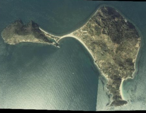 スクリーンショット 2016-08-09 22.50.29