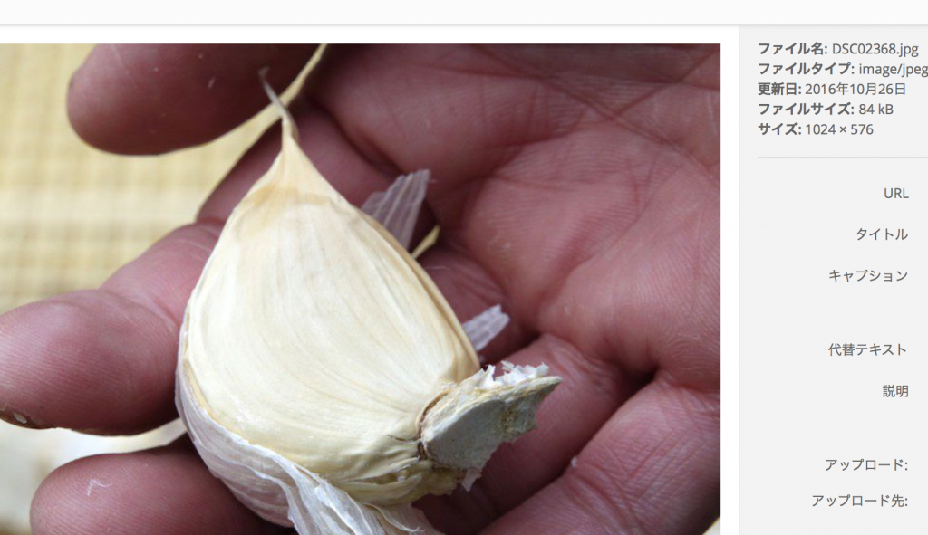 %e3%82%b9%e3%82%af%e3%83%aa%e3%83%bc%e3%83%b3%e3%82%b7%e3%83%a7%e3%83%83%e3%83%88-2016-10-30-16-59-44