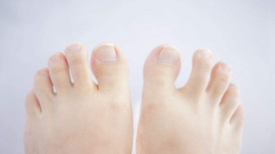 %e3%82%b9%e3%82%af%e3%83%aa%e3%83%bc%e3%83%b3%e3%82%b7%e3%83%a7%e3%83%83%e3%83%88-2016-12-11-14-14-11